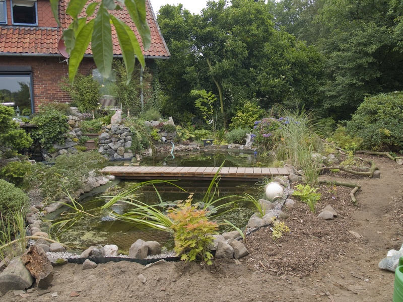 Anpflanzung am Teich